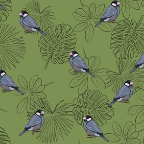 Java Sparrows and Leaf Outlines on Soft Green - Large