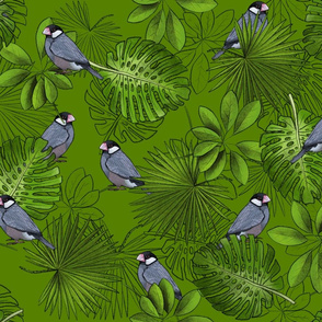 Java Sparrows, Tropical Leaves, and Leaf Outlines on Bright Green - Large