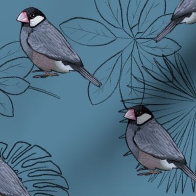 Java Sparrows and Leaf Outlines on Blue - Large