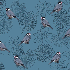 Java Sparrows and Leaf Outlines on Blue - Large