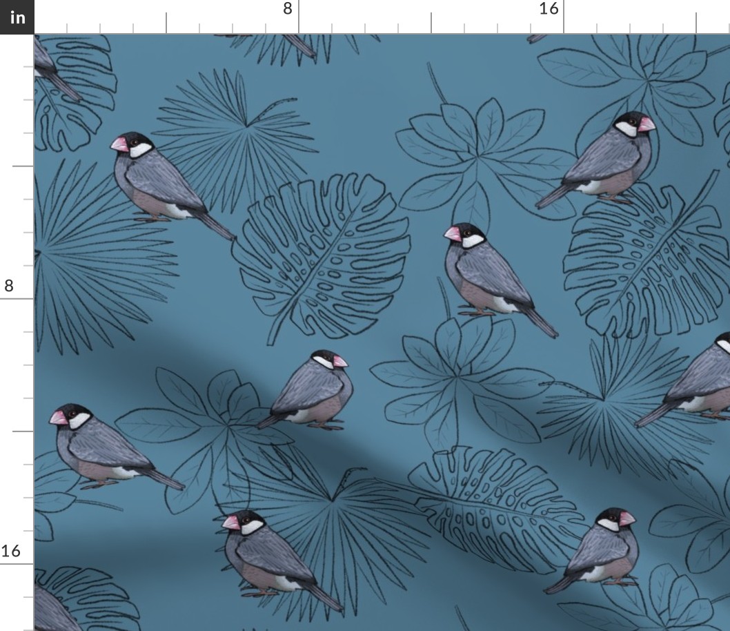 Java Sparrows and Leaf Outlines on Blue - Large