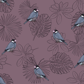 Java Sparrows and Leaf Outlines on Mauve - Large