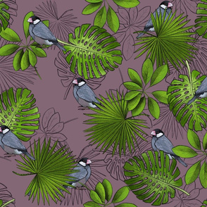 Java Sparrows, Tropical Leaves, and Leaf Outlines on Mauve - Large