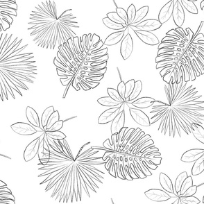Tropical Leaf Outlines on White - Large