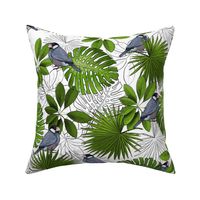 Java Sparrows, Tropical Leaves, and Tropical Leaf Outlines on White - Large