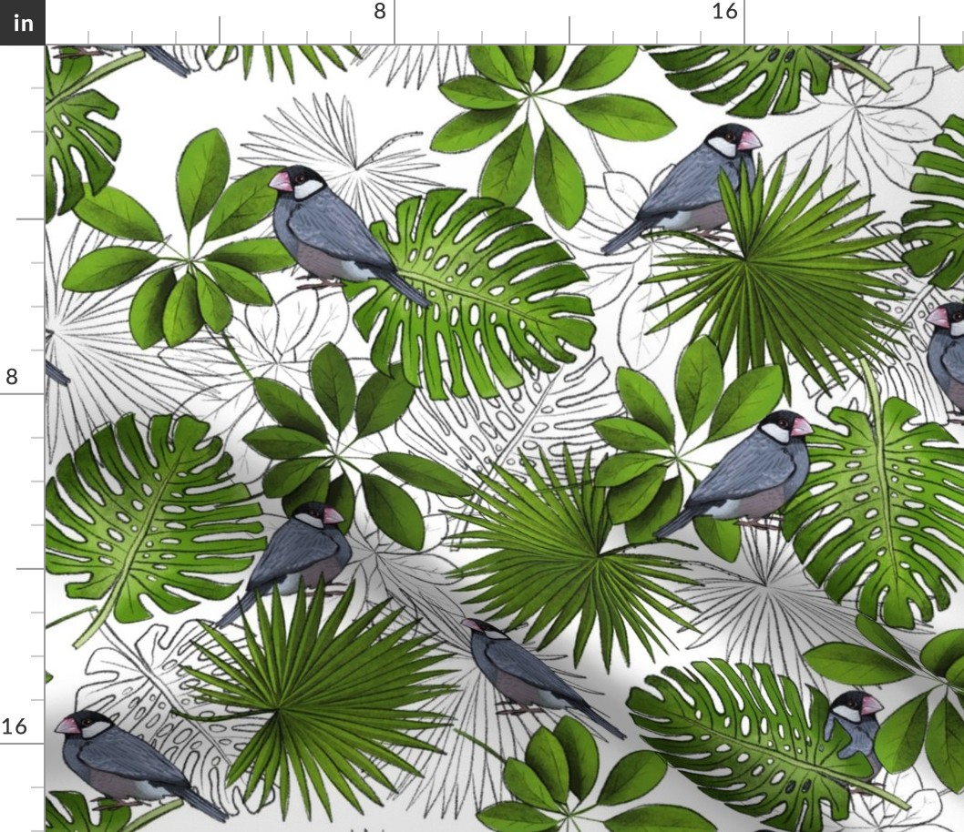 Java Sparrows, Tropical Leaves, and Tropical Leaf Outlines on White - Large