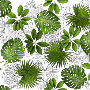 Tropical Leaves and Leaf Outlines on White - Large