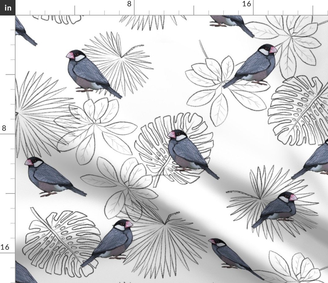 Java Sparrows and Tropical Leaf Outlines on White - Large