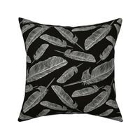 Black & White Feather Pattern