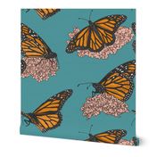 Monarch Butterflies on Milkweed Flowers