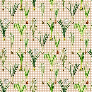 Snowdrops on beige gingham ground