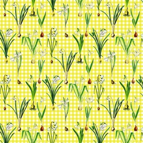 Snowdrops on bright yellow gingham ground