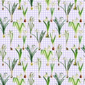 Snowdrops on lavender gingham ground