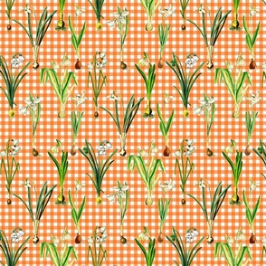 Snowdrops on orange gingham ground 