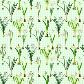 Snowdrops on candy green gingham ground