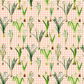 Snowdrops on peach gingham ground