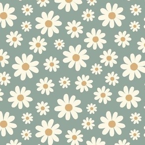 Daisy, Daisies, sage