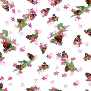 Pink Flowers & Butterflies