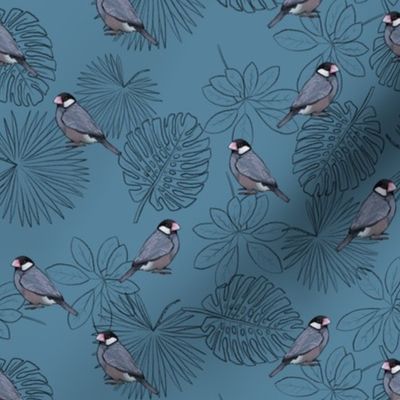 Java Sparrows and Leaf Outlines on Blue - Small