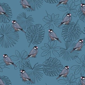 Java Sparrows and Leaf Outlines on Blue - Small