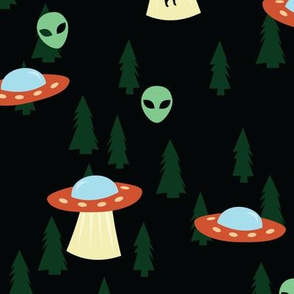 Alien Abduction UFO - M