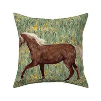 Chocolate Rocky Mountain Horse in Wildflower Field for Pillow