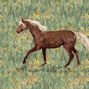 Chocolate Rocky Mountain Horse in Wildflower Field for Pillow