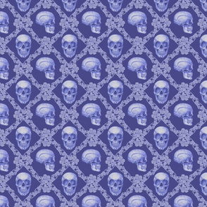 Skull damask blue 4x4