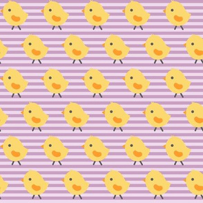 Chicks on Purple Stripes