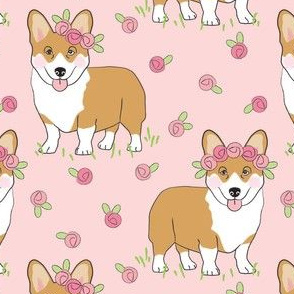 large corgis and rosebuds on pink