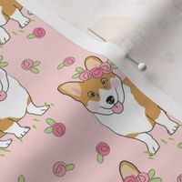 medium corgis and rosebuds on pink