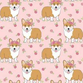 medium corgis and rosebuds on pink