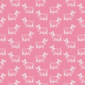 Vintage Goat with Leaf Antique Pattern in White with a  Pink Background (Mini Scale)