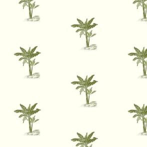 Neutral Tropical Palm Trees On Cream Background