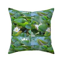 Water Lillies Garden Quilt Center