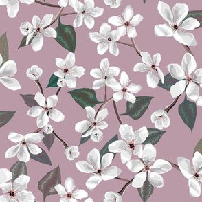 plum blossoms on dusty pink