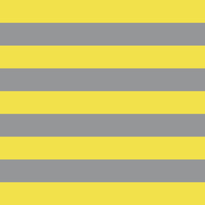 Yellow and Gray Stripes