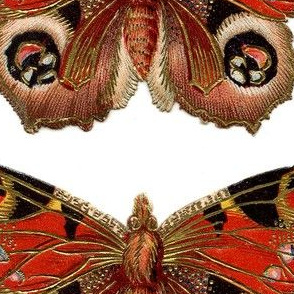 Vintage Butterfly