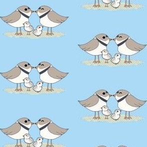 Piping Plover Family (Light/Big)