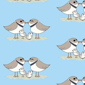 Piping Plover Family (Small)