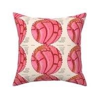Pink Concha Pillow ( Pan Dulce) 