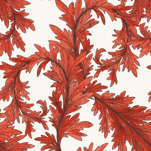 Acanthus red leaves