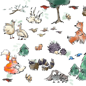 Forest Animals