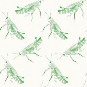 Grasshoppers - Large Scale {Green}