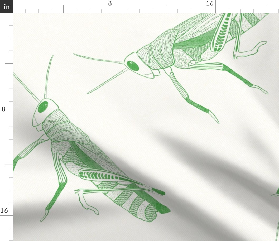Grasshoppers - Large Scale {Green}