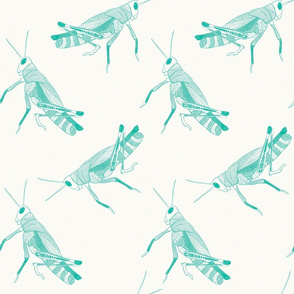 Grasshoppers - {Teal}