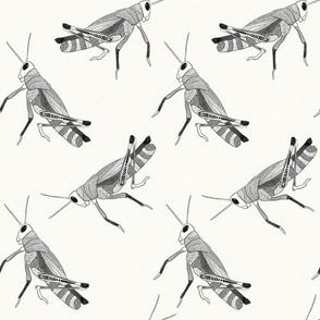 Grasshoppers Repeat - Small Scale {Black}