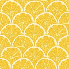 Lemon Slices (small) - sunny yellow citrus fruit