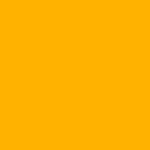 Spoonflower Color Map v2.1 D6 - FFB614 - Orange Sorbet