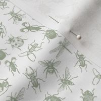 Ditsy insect olive